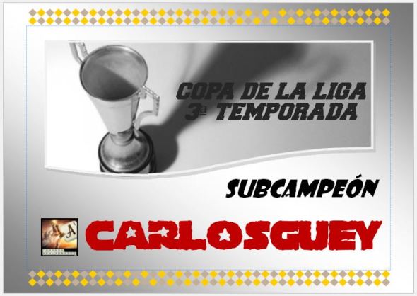 subcampeón copa de la liga 3ª temp